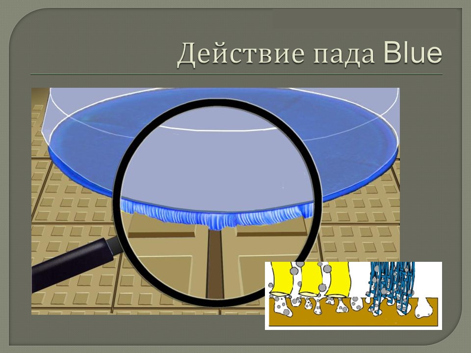 картинка О падах Blue Vermop Клинфотеки МИУЗа