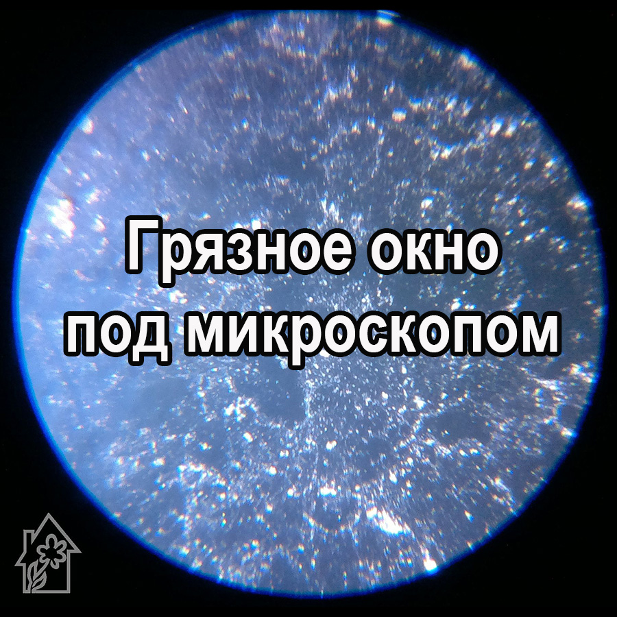картинка Грязное окно под микроскопом Клинфотеки МИУЗа